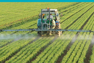 Food and Agrochemical